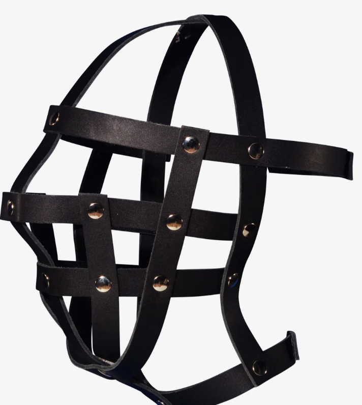 Leather Cage Head Harness 134