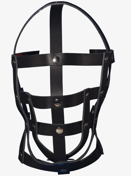 Leather Cage Head Harness 134